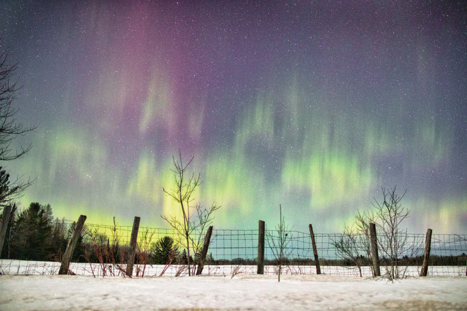 Who Turned on the Lights